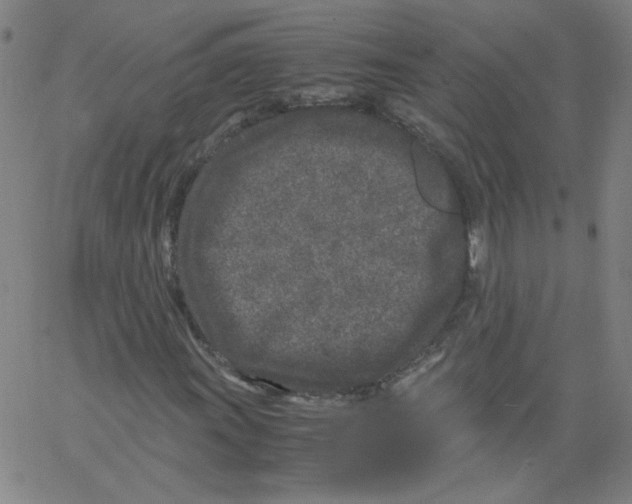 X0000066101011200604071817