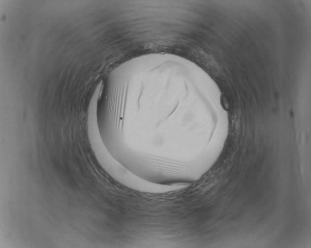 X0000066101012200604071817