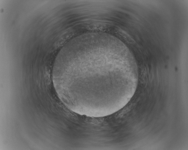 X0000066101013200604071817