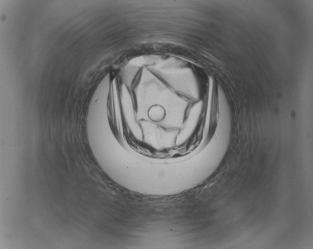 X0000066101014200604071817