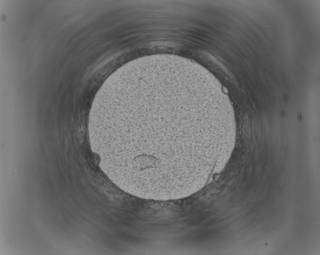 X0000066101015200604071817