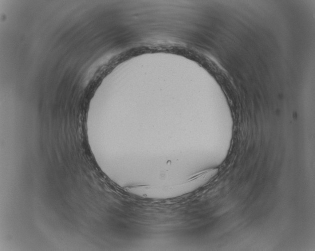 X0000066101016200604071817