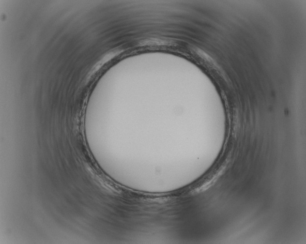 X0000066101017200604071817