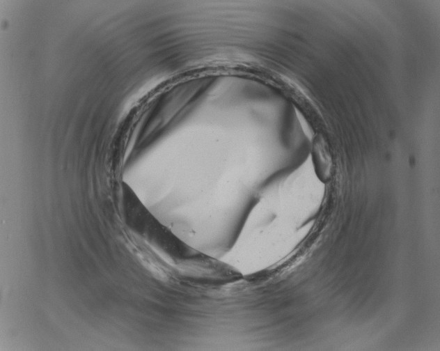 X0000066101018200604071817