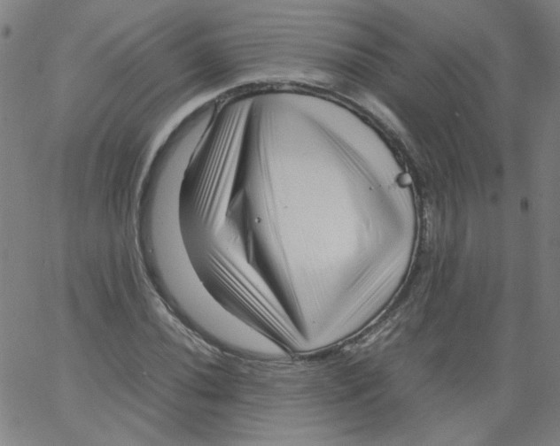 X0000066101020200604071817