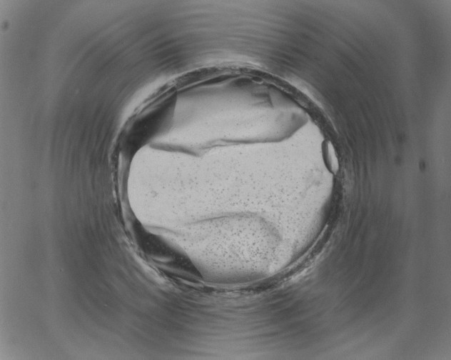 X0000066101022200604071817