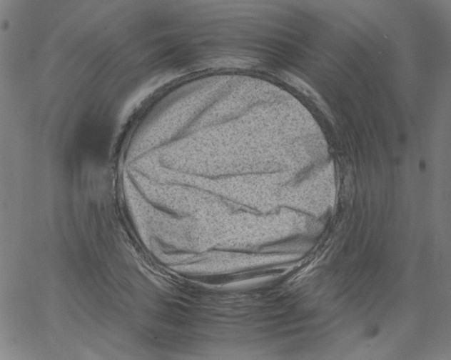 X0000066101027200604071817