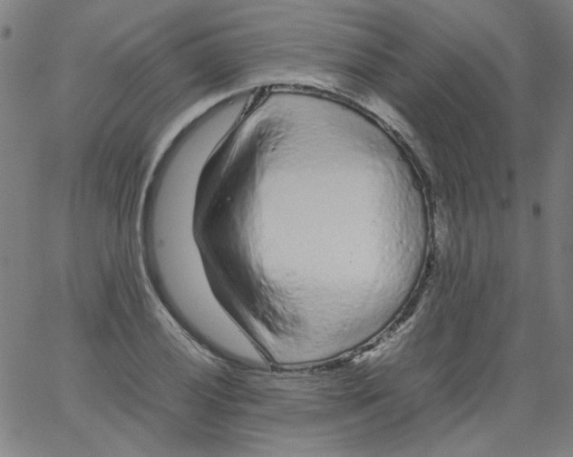 X0000066101028200604071817