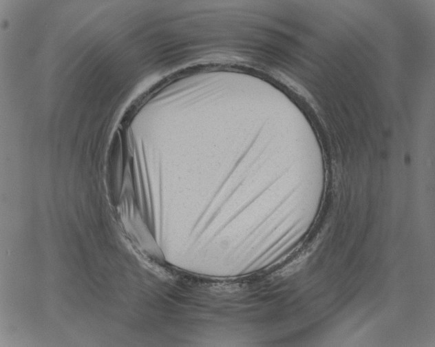 X0000066101029200604071817