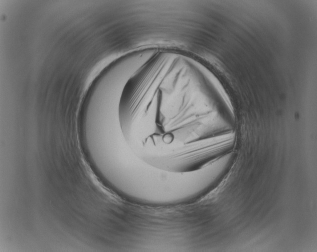 X0000066101030200604071817