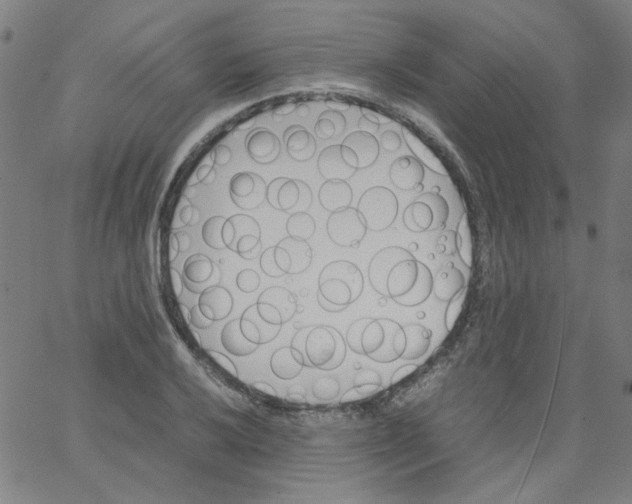 X0000066101032200604071817