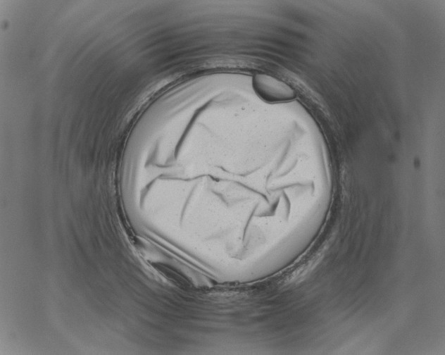 X0000066101033200604071817