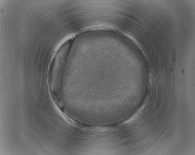 X0000066101034200604071817