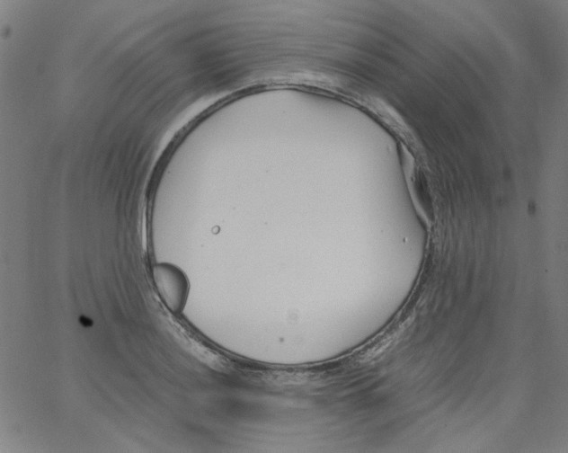 X0000066101036200604071817