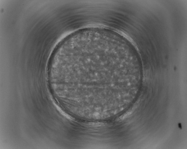 X0000066101037200604071817