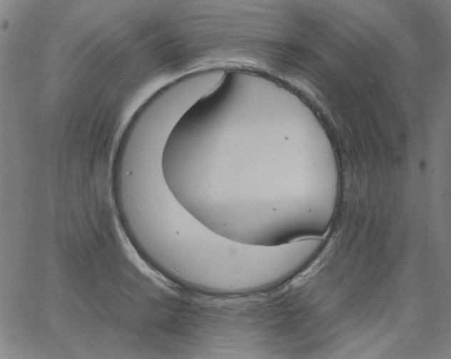 X0000066101038200604071817