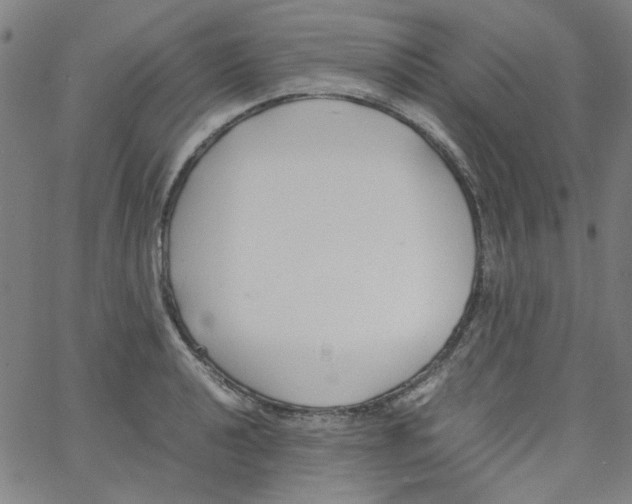 X0000066101040200604071817