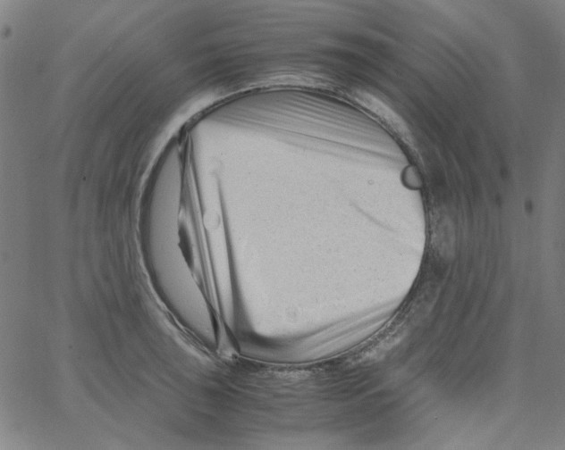 X0000066101043200604071817