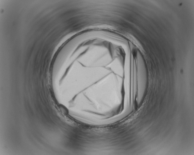 X0000066101044200604071817