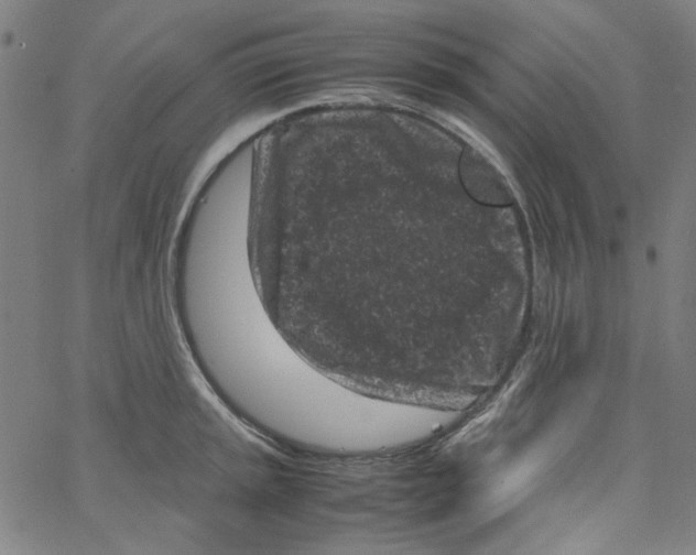 X0000066101045200604071817