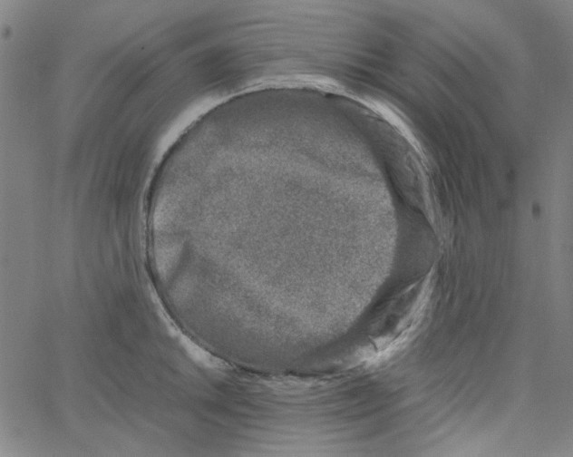 X0000066101046200604071817