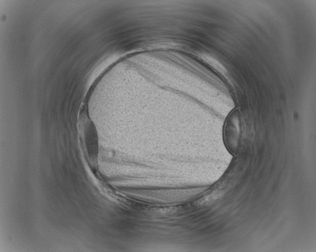 X0000066101047200604071817