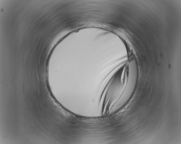 X0000066101048200604071817