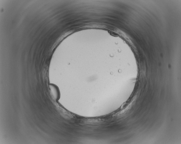 X0000066101049200604071817