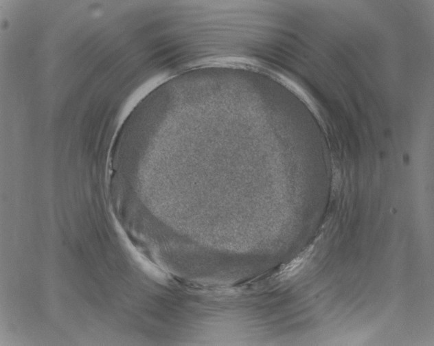 X0000066101050200604071817