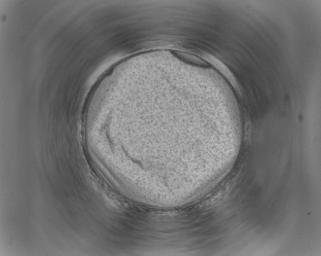 X0000066101051200604071817