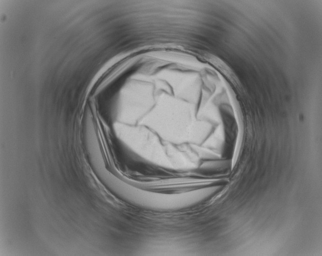 X0000066101052200604071817