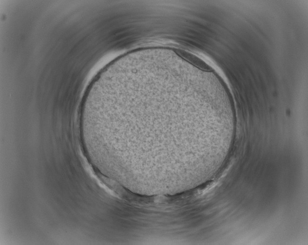 X0000066101053200604071817