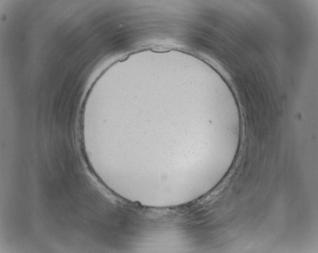 X0000066101056200604071817