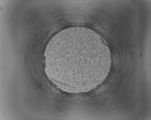 X0000066101057200604071817