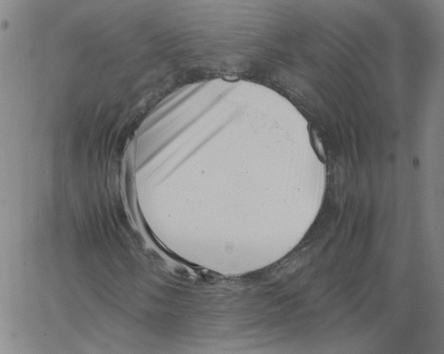 X0000066101058200604071817