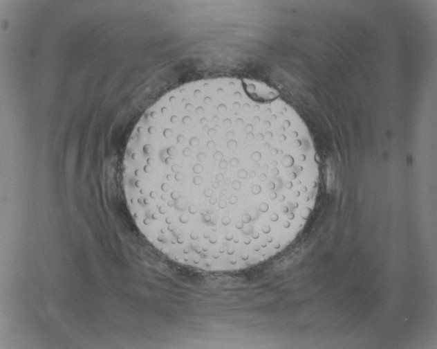 X0000066101059200604071817