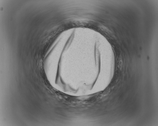 X0000066101061200604071817