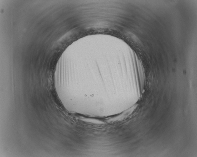 X0000066101062200604071817