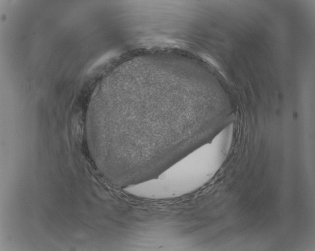 X0000066101063200604071817