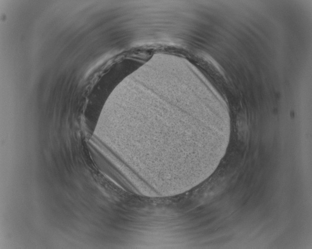 X0000066101064200604071817