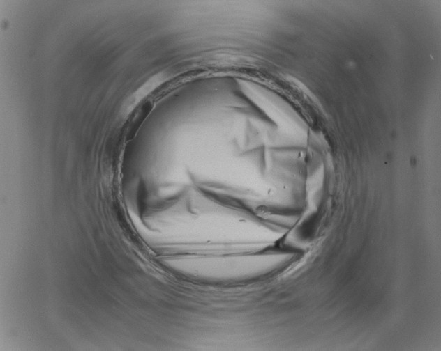 X0000066101065200604071816