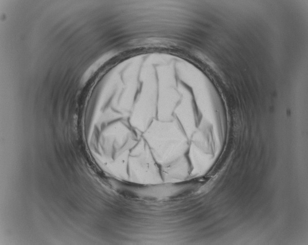 X0000066101066200604071816