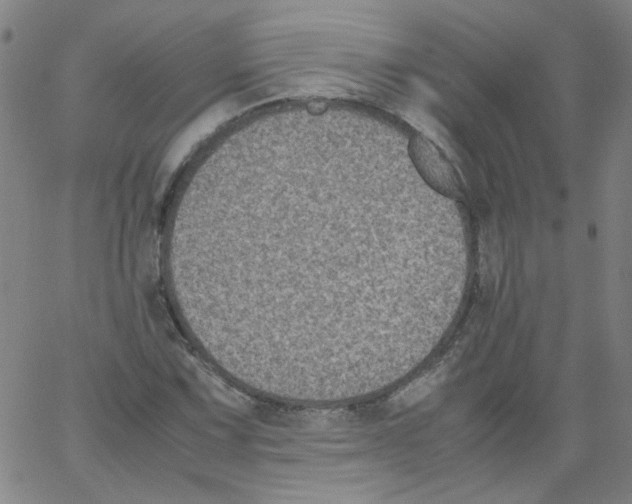 X0000066101067200604071816