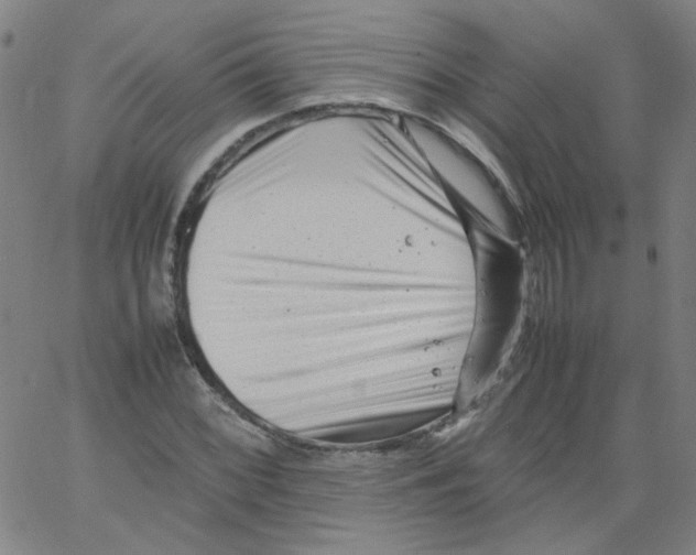 X0000066101068200604071816