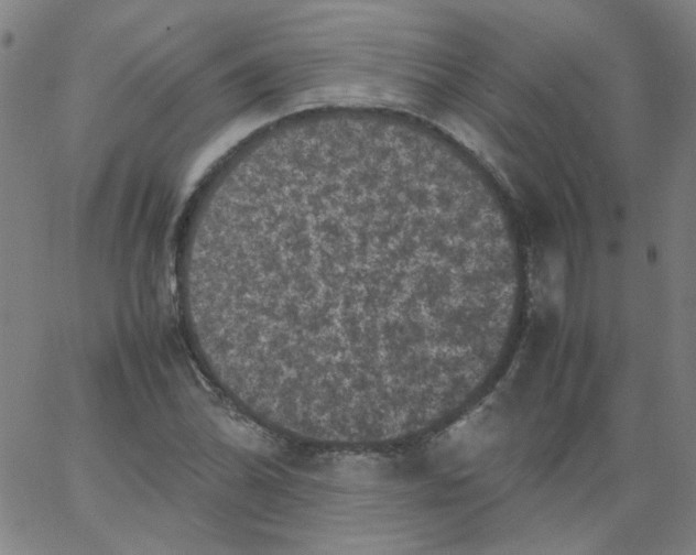 X0000066101070200604071816