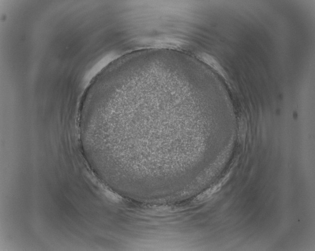 X0000066101071200604071816