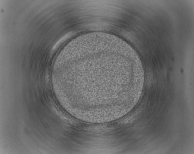 X0000066101074200604071816