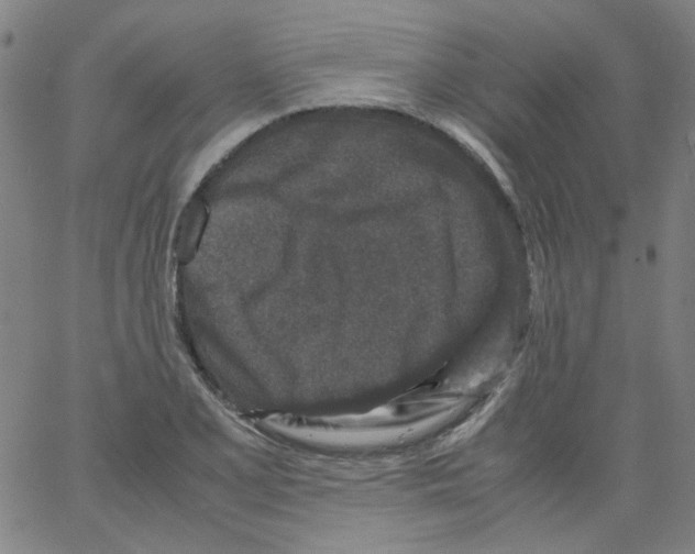 X0000066101077200604071816