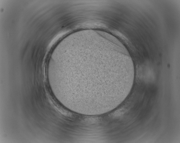 X0000066101078200604071816