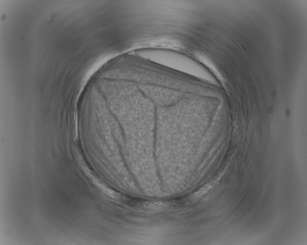 X0000066101079200604071816